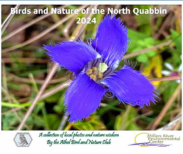 The Athol Bird and Nature Club's 2024 calendar
