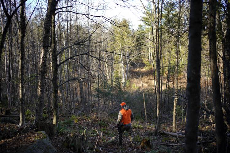 Jared Bornstein walks through the woods while deer hunting Saturday, Nov. 11, 2023, in Turner, Maine.