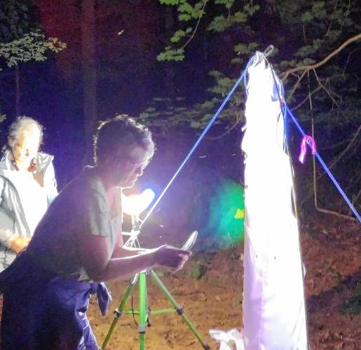 Betsy Higgins of Northampton takes a photo of one of the many species of moths that were seen at the annual Moth Ball, hosted on Saturday, July 20, at the home of Athol Bird & Nature Club President David Small.