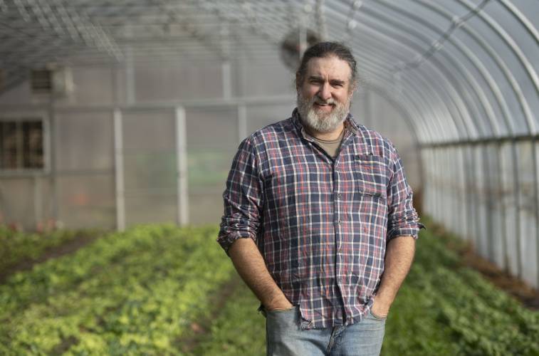 Jeremy Barker-Plotkin, co-owner of Simple Gifts farm in Amherst, in one of the greenhouses where they grow a lettuce mix.