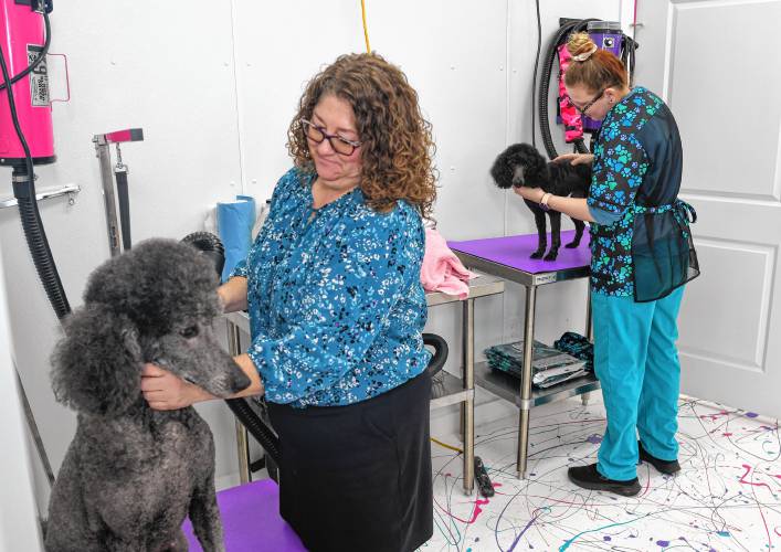 Owner Danielle Rouleau blow-dries Rumor while Taylor Dunn works on Fern at Tails Pet Salon in Athol on South Main Street.