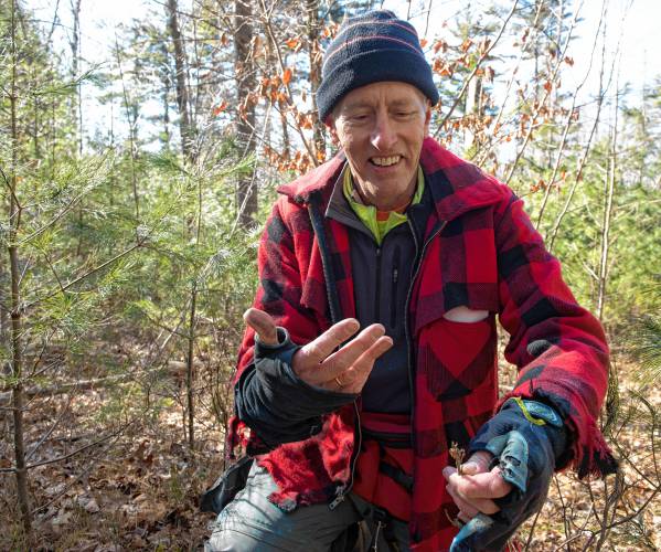 Mauri explains the damage deer do by eating the young growth of plants, reducing the diversity in a forest.  