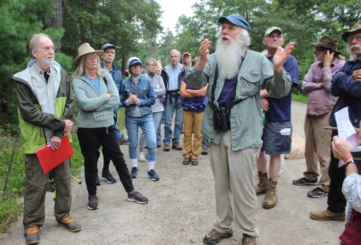 Bill Stubblefield of Wendell, center, gives a tour of the Montague Plains Wildlife Management area in August to argue against the state’s forest management practices. Stubblefield testified on Wednesday in favor of bill H.4150 that aims to change forest management and conservation efforts in the state.