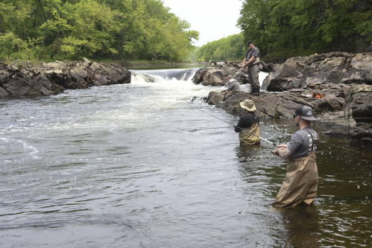 A group of fishermen try to entice migrating shad to strike at the Rock Dam on the Connecticut River in Montague earlier this summer.