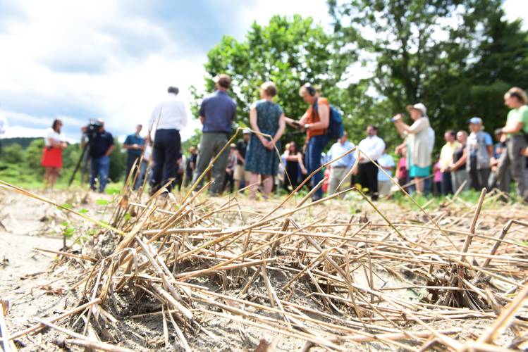 State and local officials visit the flood-damaged fields at Natural Roots farm in Conway in early August. Natural Roots was recently awarded $10,000 through the Farm Resiliency Fund.