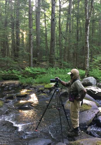 Photographer Robert Mighty takes photos of the east branch of the Swift River. These 16 photos would later be merged to create the Fisher Museum's panorama which honors the Nipmuc's stewardship of the land that is now Harvard Forest.